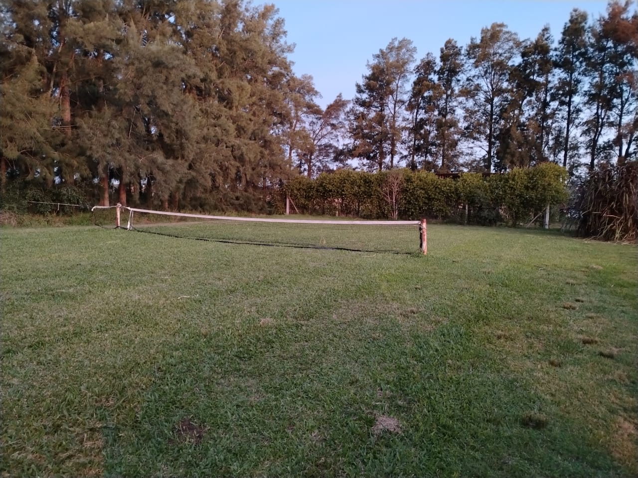 Tenis